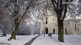 Zima w Puszczy Zielonka - zdjęcie 4