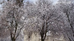 Zima w Puszczy Zielonka - zdjęcie 3