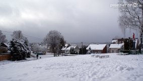 Zima w Puszczy Zielonka - zdjęcie 2