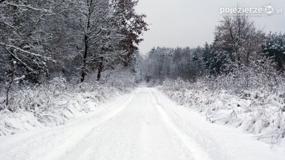 Zima w Puszczy Zielonka