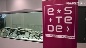 eSTeDe w Gnieźnie w nowej odsłonie! I z akwarium! - zdjęcie 48