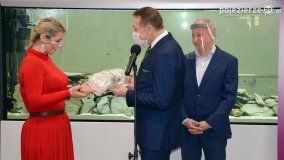 eSTeDe w Gnieźnie w nowej odsłonie! I z akwarium! - zdjęcie 26