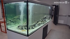 eSTeDe w Gnieźnie w nowej odsłonie! I z akwarium! - zdjęcie 6