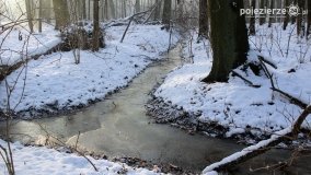 Park w Nekli w zimowej szacie - zdjęcie 43