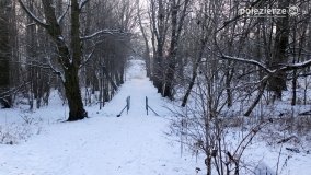 Park w Nekli w zimowej szacie - zdjęcie 41