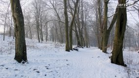 Park w Nekli w zimowej szacie - zdjęcie 39
