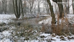 Park w Nekli w zimowej szacie - zdjęcie 38