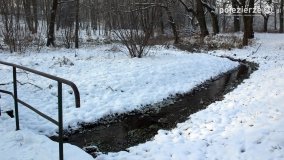 Park w Nekli w zimowej szacie - zdjęcie 37