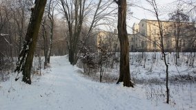 Park w Nekli w zimowej szacie - zdjęcie 36