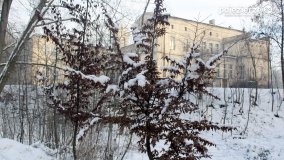 Park w Nekli w zimowej szacie - zdjęcie 35