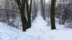 Park w Nekli w zimowej szacie - zdjęcie 34