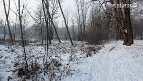 Park w Nekli w zimowej szacie - zdjęcie 30