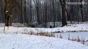 Park w Nekli w zimowej szacie - zdjęcie 29
