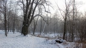 Park w Nekli w zimowej szacie - zdjęcie 28