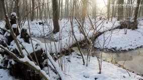 Park w Nekli w zimowej szacie - zdjęcie 27