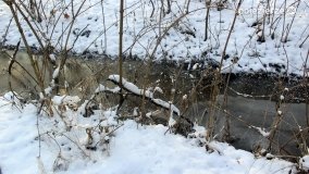 Park w Nekli w zimowej szacie - zdjęcie 26