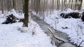 Park w Nekli w zimowej szacie - zdjęcie 25