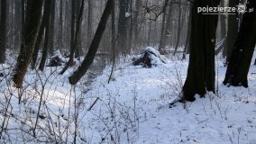 Park w Nekli w zimowej szacie - zdjęcie 24