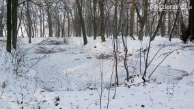 Park w Nekli w zimowej szacie - zdjęcie 23