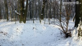 Park w Nekli w zimowej szacie - zdjęcie 21