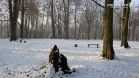 Park w Nekli w zimowej szacie - zdjęcie 19