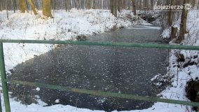 Park w Nekli w zimowej szacie - zdjęcie 17