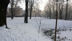 Park w Nekli w zimowej szacie - zdjęcie 16