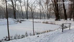 Park w Nekli w zimowej szacie - zdjęcie 15