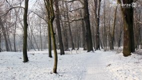 Park w Nekli w zimowej szacie - zdjęcie 14
