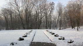 Park w Nekli w zimowej szacie - zdjęcie 13