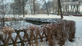 Park w Nekli w zimowej szacie - zdjęcie 6