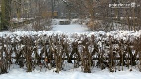 Park w Nekli w zimowej szacie - zdjęcie 5