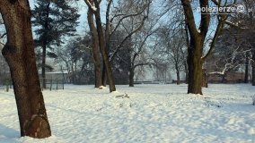Park w Nekli w zimowej szacie - zdjęcie 4