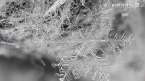 Baśniowy świat płatków śniegu... - zdjęcie 31