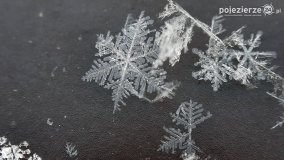 Baśniowy świat płatków śniegu... - zdjęcie 27