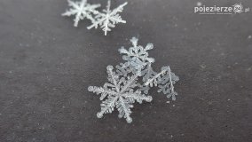 Baśniowy świat płatków śniegu... - zdjęcie 26