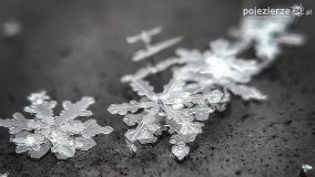 Baśniowy świat płatków śniegu... - zdjęcie 20