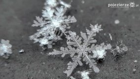 Baśniowy świat płatków śniegu... - zdjęcie 18