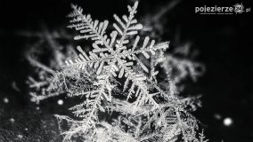 Baśniowy świat płatków śniegu... - zdjęcie 16