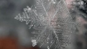 Baśniowy świat płatków śniegu... - zdjęcie 12