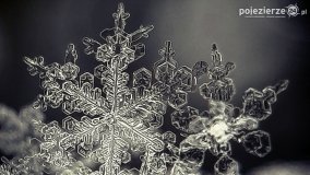 Baśniowy świat płatków śniegu... - zdjęcie 10