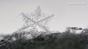 Baśniowy świat płatków śniegu... - zdjęcie 9