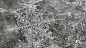 Baśniowy świat płatków śniegu... - zdjęcie 8