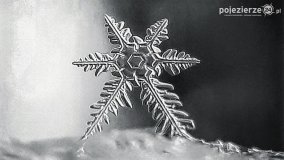 Baśniowy świat płatków śniegu... - zdjęcie 6