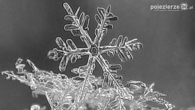 Baśniowy świat płatków śniegu... - zdjęcie 5