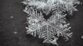 Baśniowy świat płatków śniegu... - zdjęcie 3