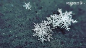 Baśniowy świat płatków śniegu... - zdjęcie 2