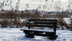 Zimowy spacer po Łabiszynie - zdjęcie 11