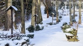 Zimowy spacer po Łabiszynie - zdjęcie 10