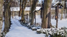 Zimowy spacer po Łabiszynie - zdjęcie 6